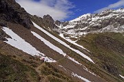 55 Ci aspetta la neve anche maggiolina